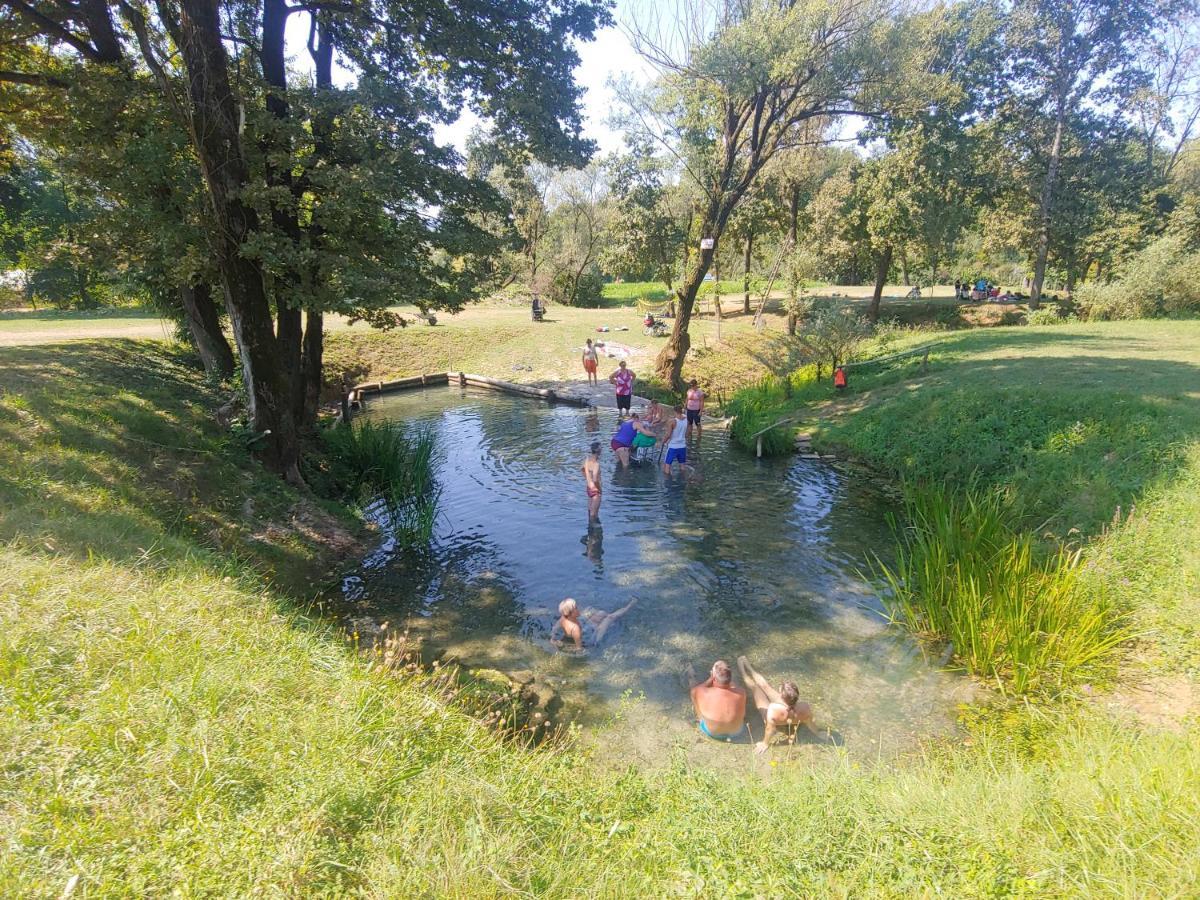 Holiday Home Toplica Natura With Natural Thermal Bath Cerklje ob Krki Ngoại thất bức ảnh